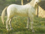 Hazel (unicorn)