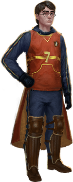 QuidditchCaptainHarryPotterWU