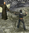 Voldemort and Harry Potter duelling OOTPG GBA