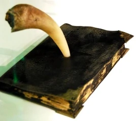 Diario-di-Tom-Riddle