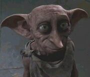 Dobby 2