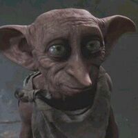 Dobby Harry Potter Lexikon Fandom