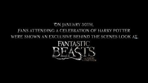 Fantastic Beasts and Where to Find Them - Highlight Reel from A Celebration of Harry Potter HD