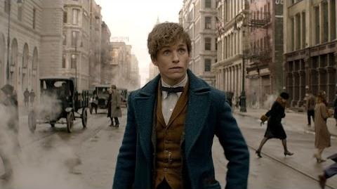 Fantastic Beasts and Where to Find Them - Teaser Trailer HD