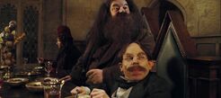 Hagrid and Flitwick at the High Table