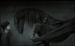 Harry wpatrujący się w testrala - ilustracja Jima Kaya