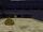 Puffskein at Hogwarts Puffskein Patch PSG PS1.jpeg