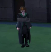 Tied-up Merula.gif