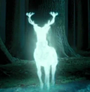 Harry Potters Patronus