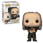 Filch and Mrs Norris POP