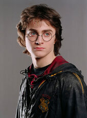 Harry-potter-goblet-of-fire-first-task-portrait