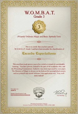 Exceeds Expectations | Harry Potter | Fandom