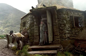 Дамблдор на пороге хижины