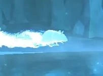 Bosmuis-patronus.jpg (4 kB) Bosmuis