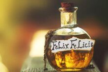 Felix-felicis.jpg