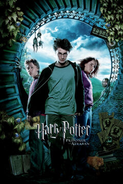 Best Buy: Harry Potter and the Prisoner of Azkaban/Harry Potter and the  Goblet of Fire [DVD]