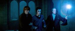 Order-of-the-phoenix-harry. minerva, ron