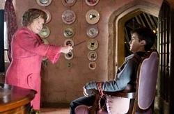 Амбридж хотела применить заклятье к Гарри