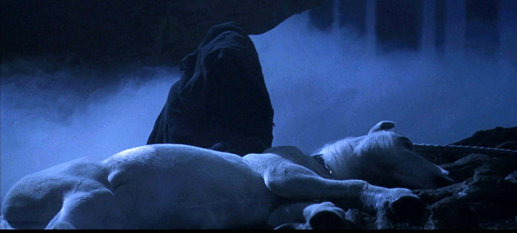 トム・リドル | Harry Potter Wiki | Fandom トム・リドル | Harry Potter Wiki | Fandom
