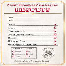 N.E.W.T. results