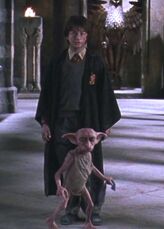 Dobby protecting Harry