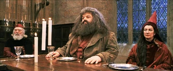 professor vector lego harry potter