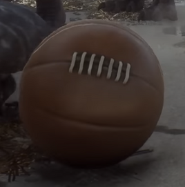 Leather Football