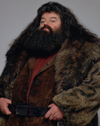 Rubeus Hagrid[10][25]