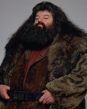 Rubeus Hagrid promo