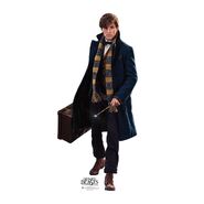 FBaWtFT promo Newt Scamander 3