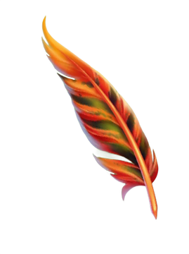 Plumas de discount