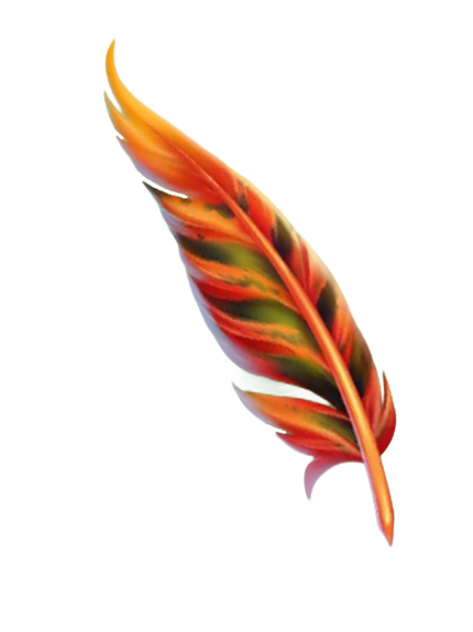 Phoenix feather | Harry Potter Wiki | Fandom