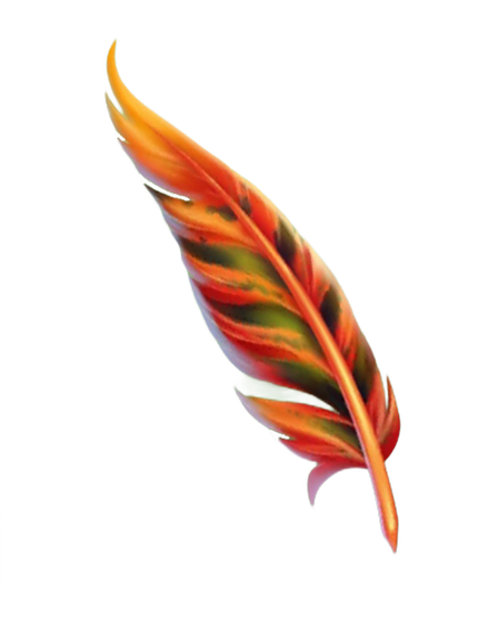 phoenix feather core