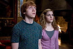 Ron and Hermione HBPF