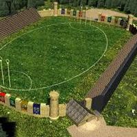 Quidditch Harry Potter Fandom
