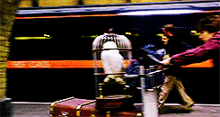 Blocked Barrier GIF.gif