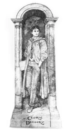 Cedrik Diggory Pinfold