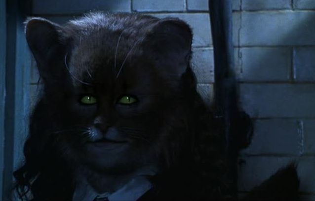 Chat De Millicent Bulstrode Wiki Harry Potter Fandom Chat De Millicent Bulstrode Wiki Harry Potter Fandom