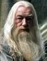 Albus Dumbledore (founder) †