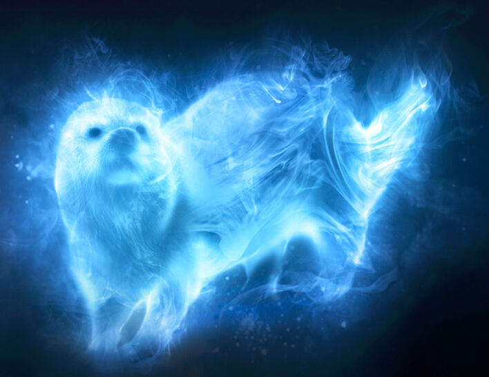 水獭 哈利 波特维基 Fandom 水獭 哈利 波特维基 Fandom