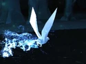 Raven-patronus.jpg (45 KB) Raven