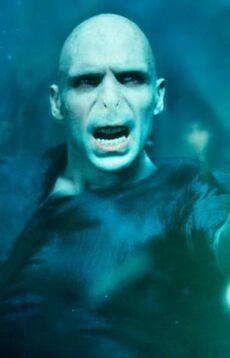 Voldemort Cropped