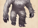 Yeti