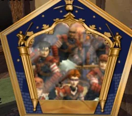 American National Quidditch team