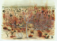Australian desert
