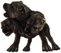 Three-headed dog