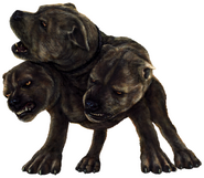 Three-headed dog