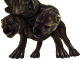 Three-headed dog