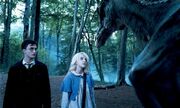 Harry and Luna with Thestral