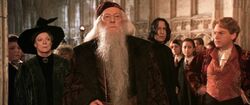 Hogwarts Professors and students COSF